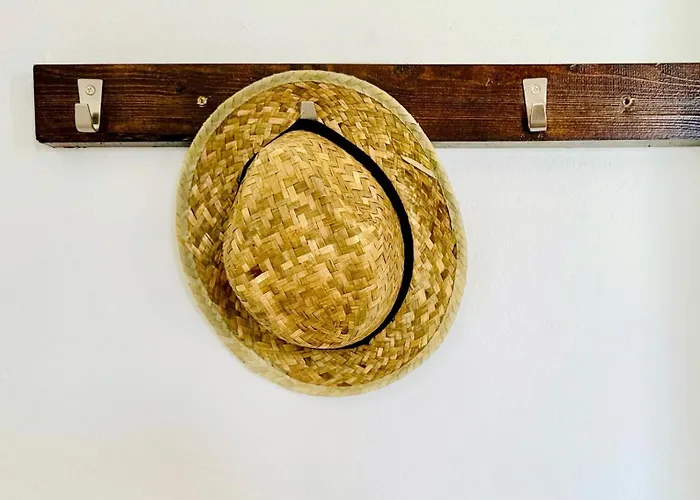 Canaryislandshost L Olympica טגיסי