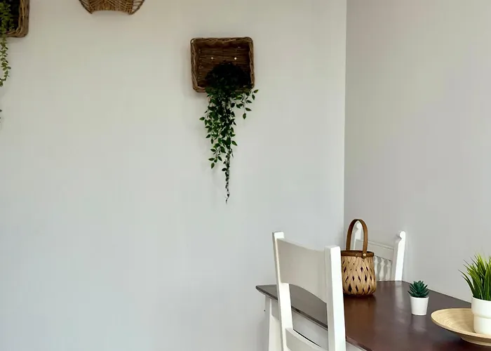 Canaryislandshost L Olympica * טגיסי