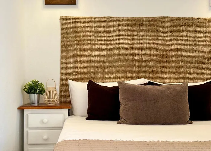 Canaryislandshost L Olympica טגיסי