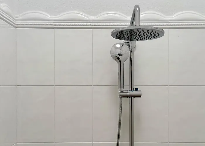 Canaryislandshost L Olympica