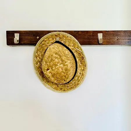 Canaryislandshost L Olympica Тегисе