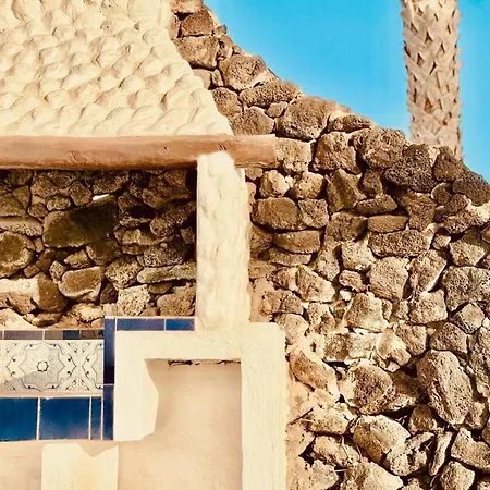 Canaryislandshost L Olympica *