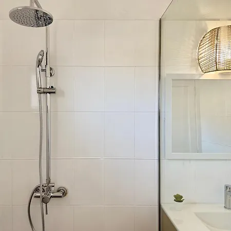 Canaryislandshost L Olympica *