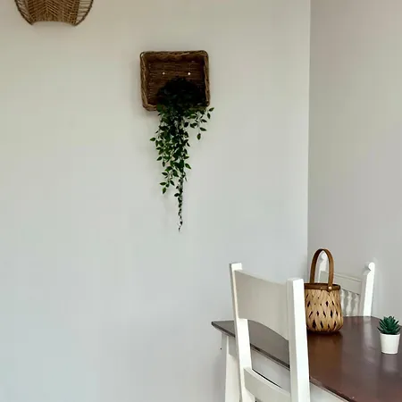 Canaryislandshost L Olympica * Тегисе