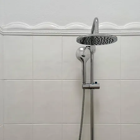 Canaryislandshost L Olympica